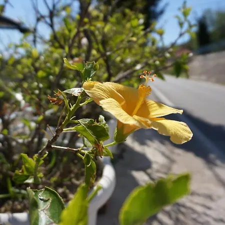 Kefalonia Sea View Apartament *