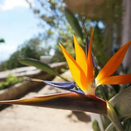 Apartament Kefalonia Sea View